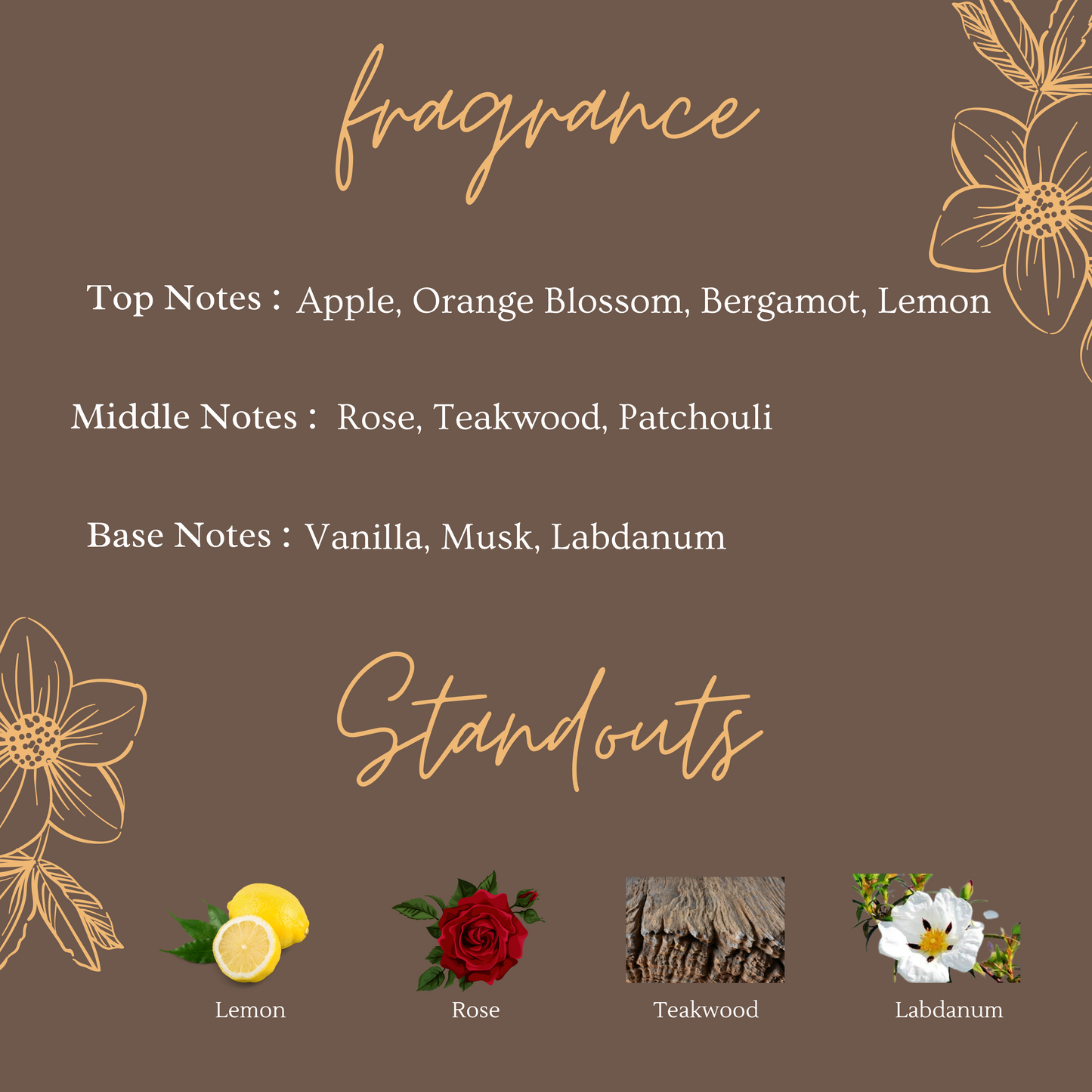 Midnight Rose - Seductive & Warm 10 ml